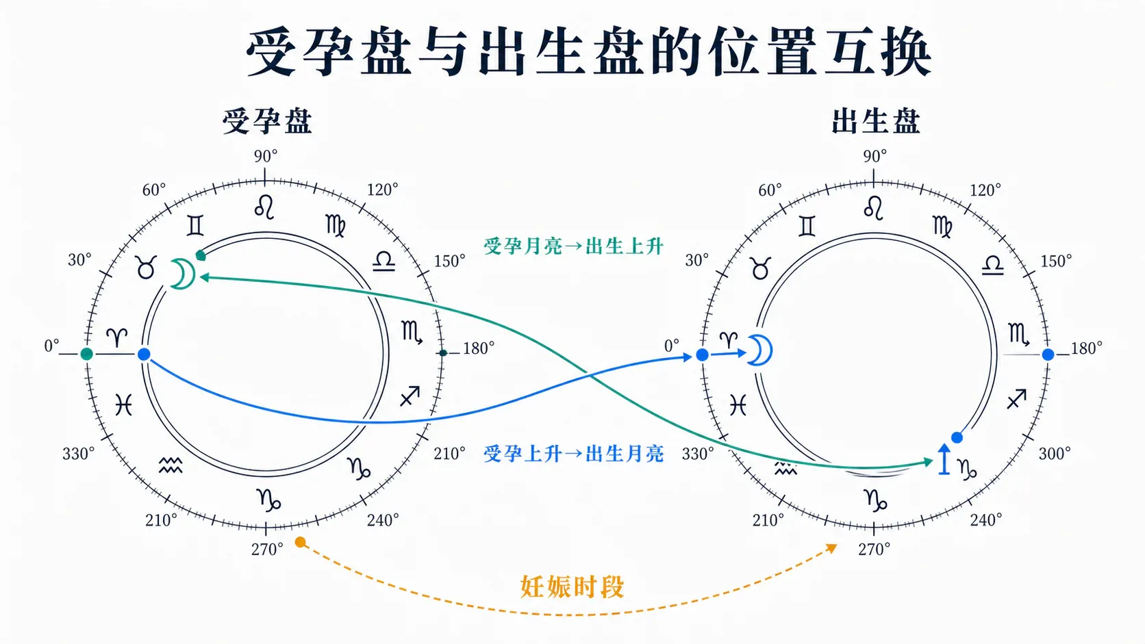 受孕盘与出生盘的位置互换